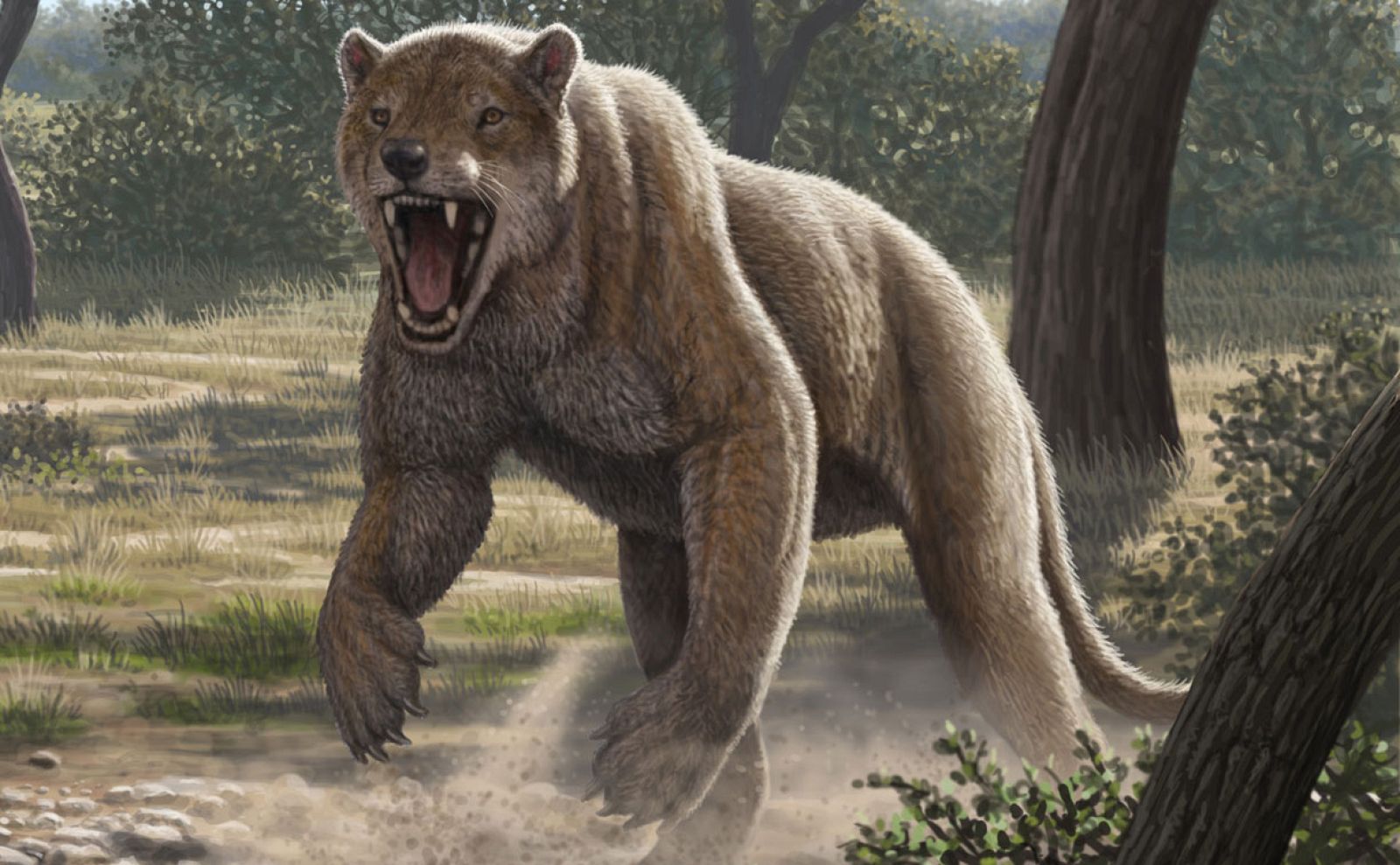 Descubren nuevos detalles sobre el gran mamífero que vivió en España hace 9 millones de años