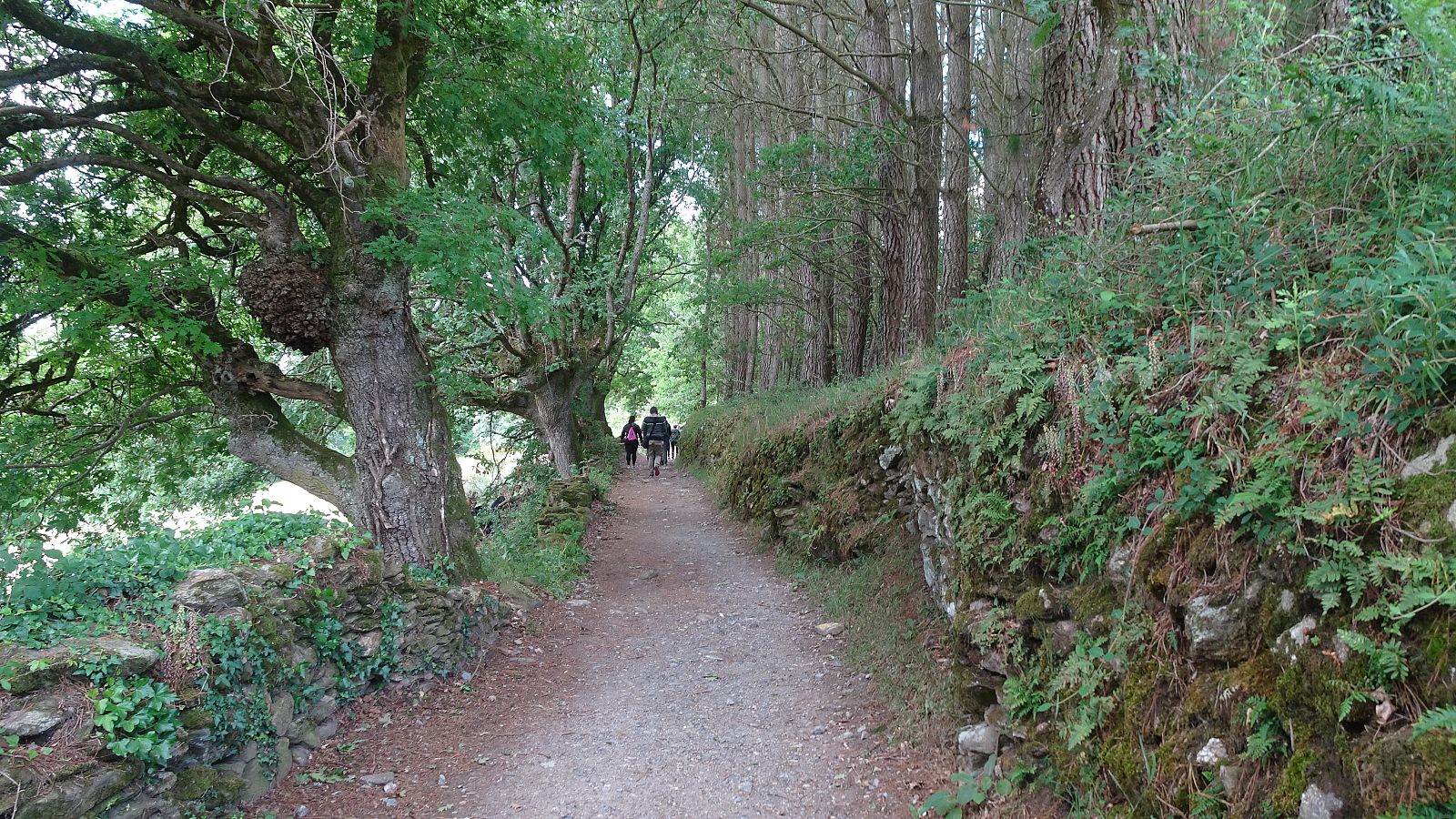 Presos haciendo el Camino de Santiago
