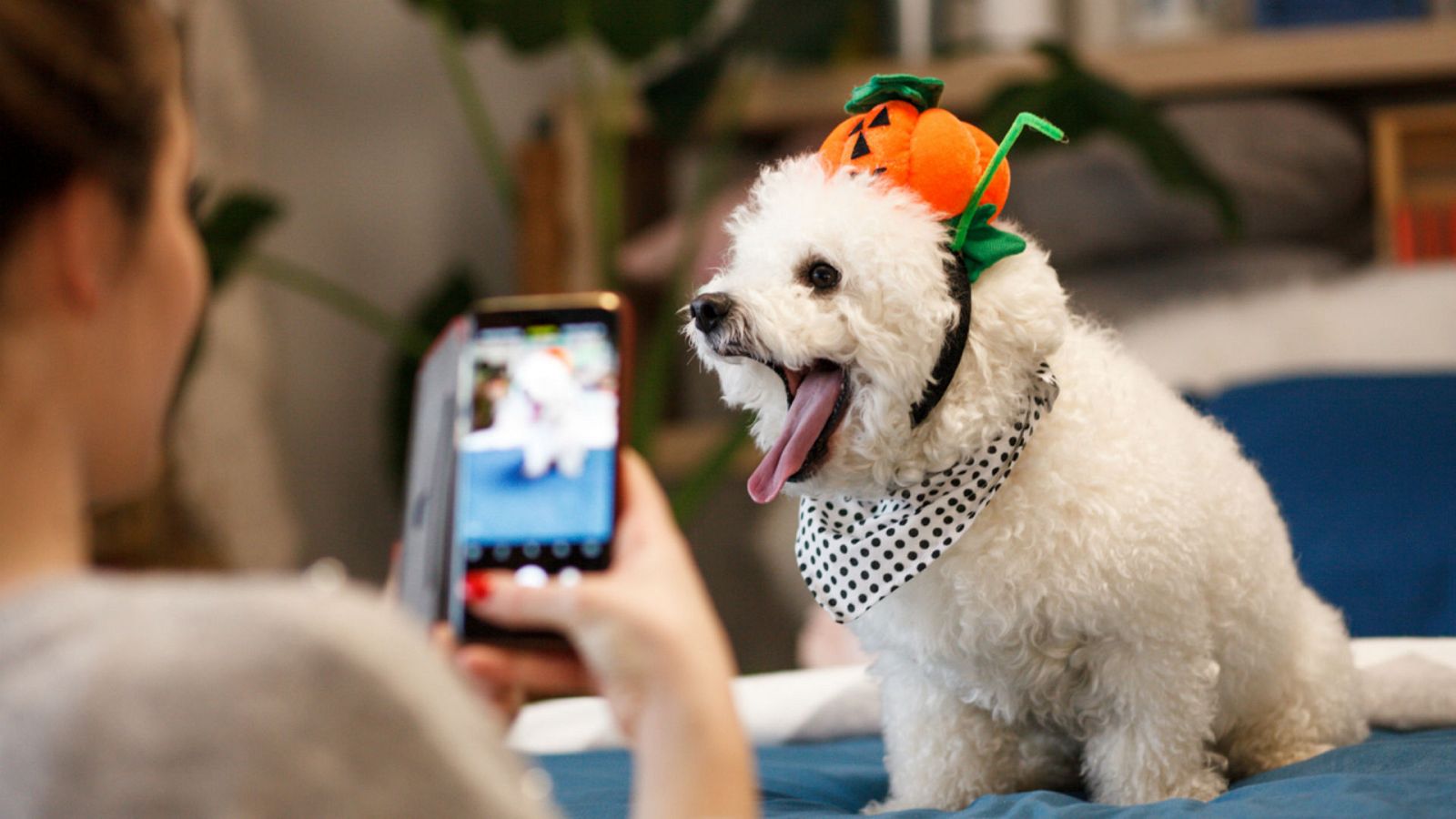 Concurso de fotos Aquí la tierra