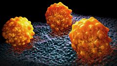 Un estudio genético de la metástasis descubre nuevos tratamientos contra el cáncer