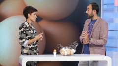 ¿Sube el huevo el colesterol?