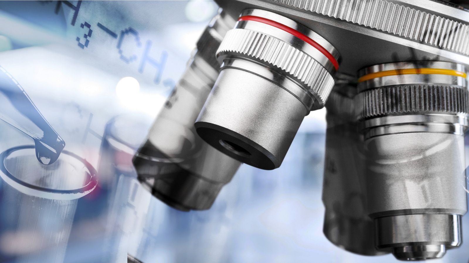 La proteína "YES1" regula la proliferación de las células tumorales y su capacidad para generar metástasis.