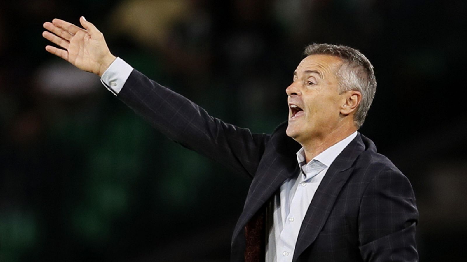 Fran Escribá da instrucciones a sus jugadores durante un partido