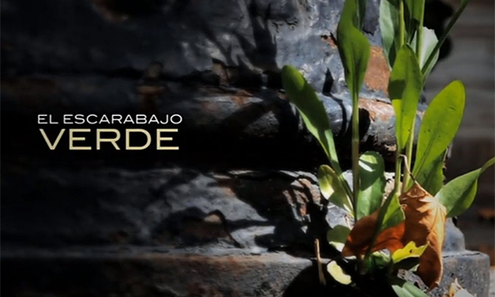 'El Escarabajo verde', Premio Derechos Humanos de la Abogacía 2019