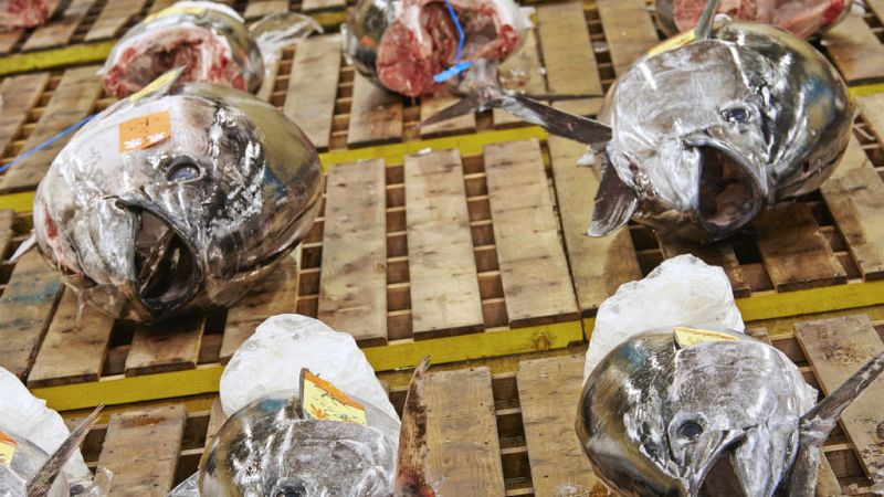 Sanidad desaconseja tomar pescados con altos niveles de mercurio