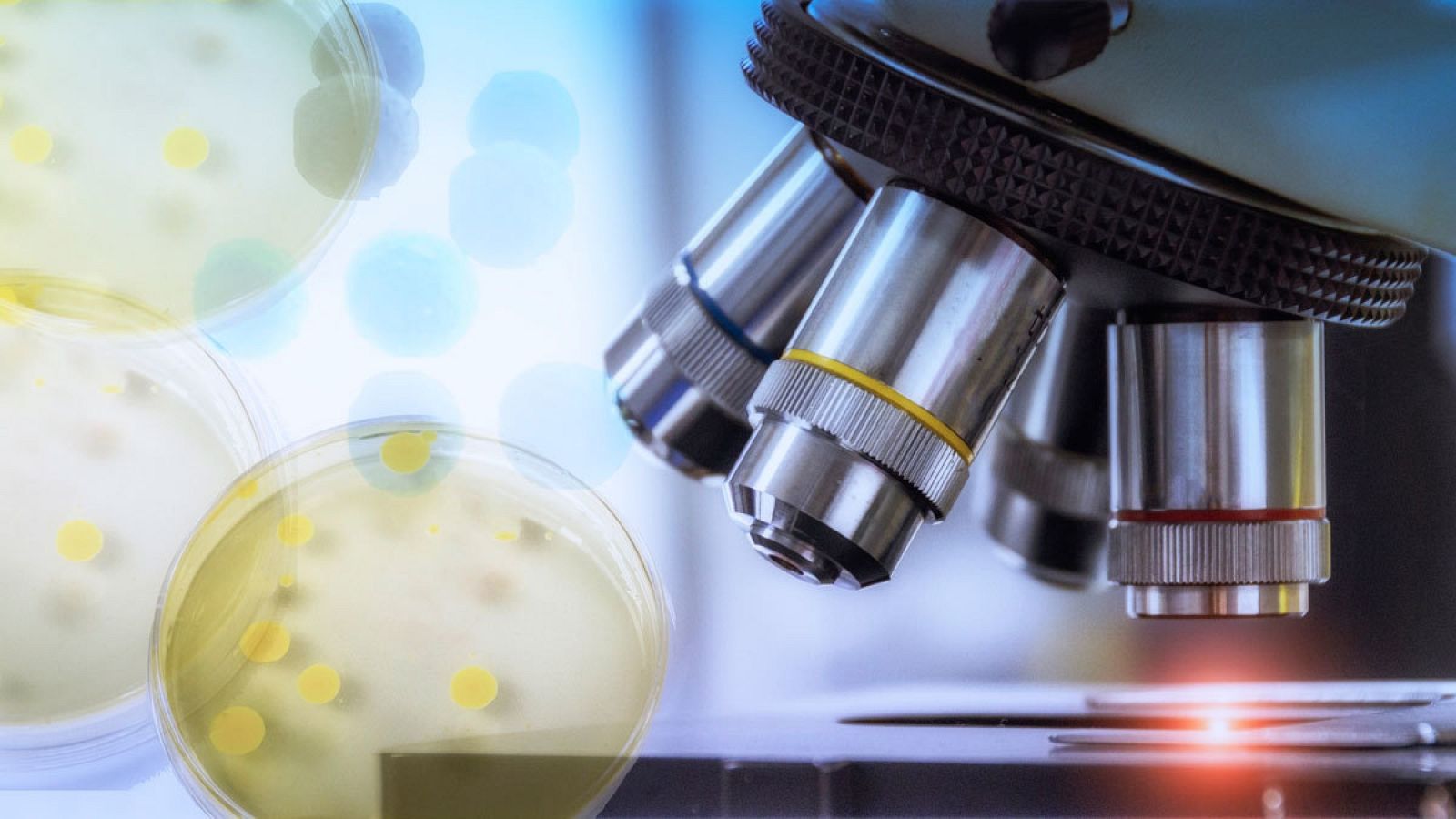 Una de las causas de enfermedad es la acumulación de células viejas que con el tiempo resultan perjudiciales.