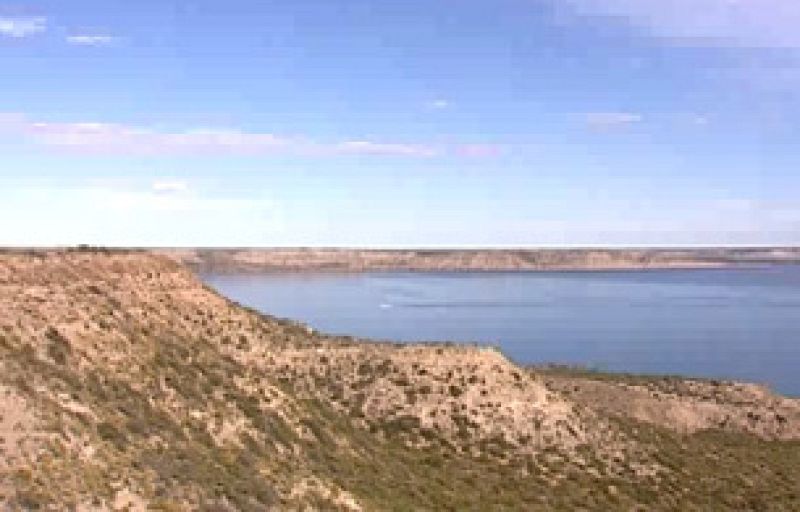 "Océanos vacíos" en El escarabajo verde