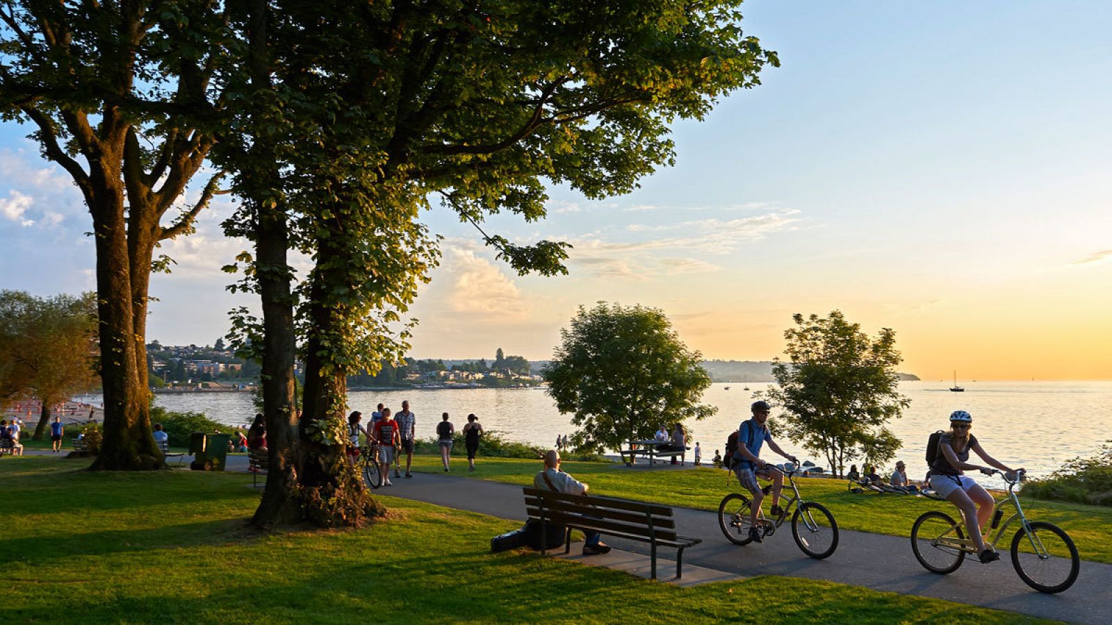 Las áreas verdes residenciales protegen contra la mortalidad prematura por todas las causas
