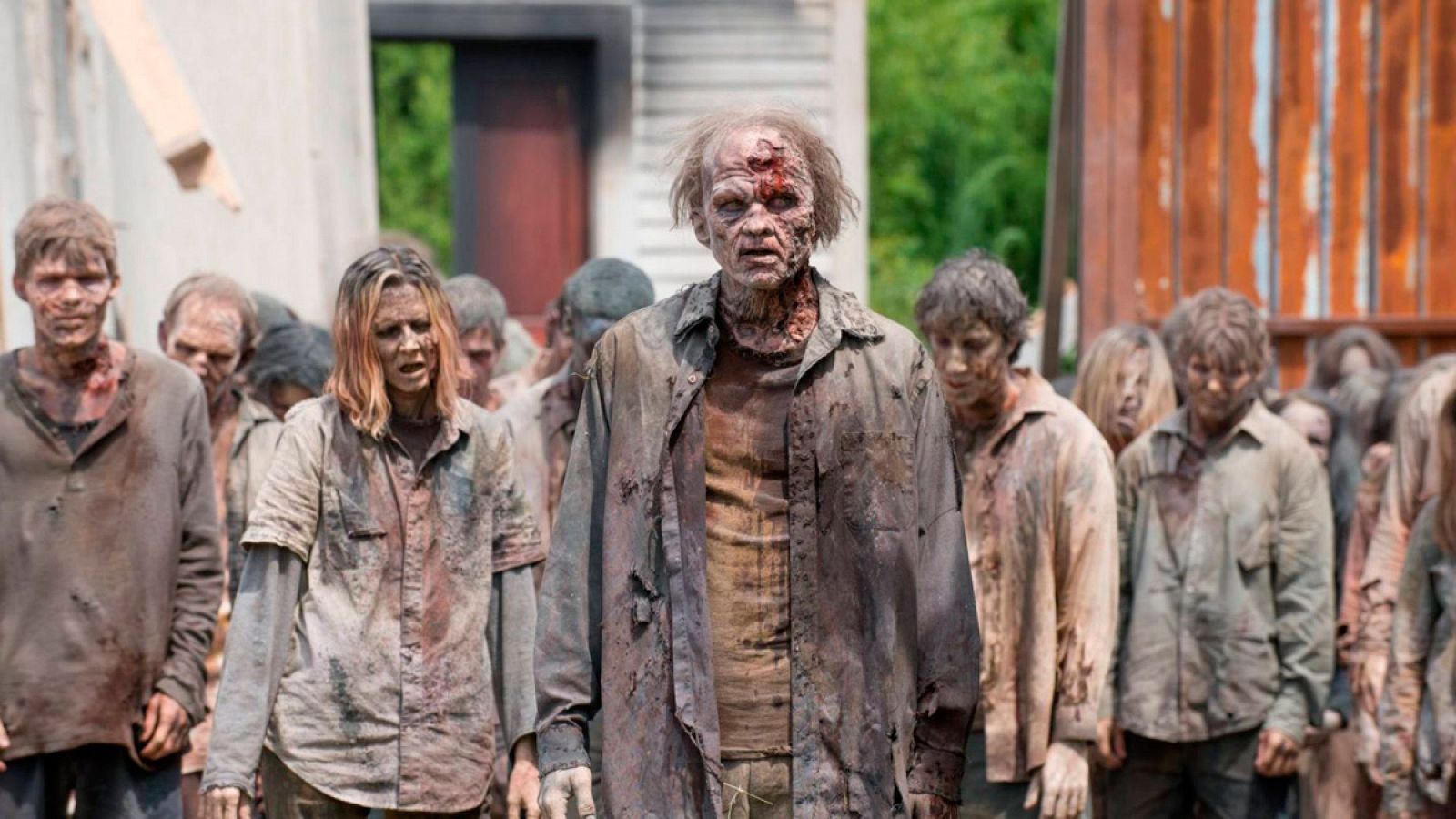 'The walking dead'