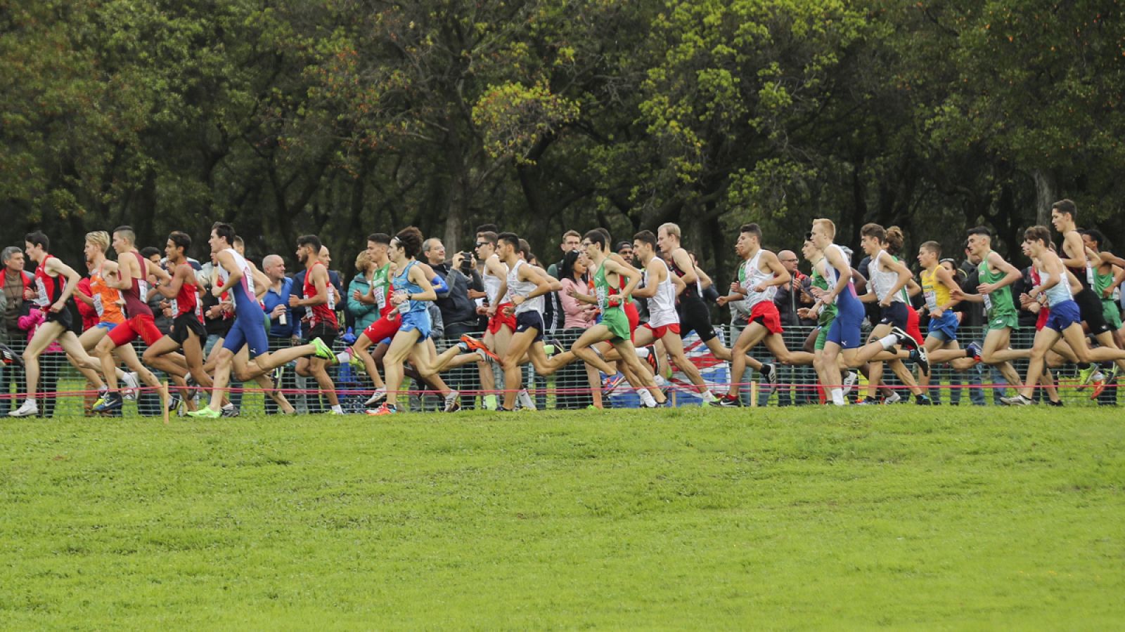 Campeonatos de Europa de campo a través