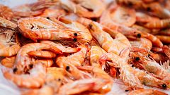 Los nutricionistas no ven riesgo en un consumo moderado de cabezas de gambas