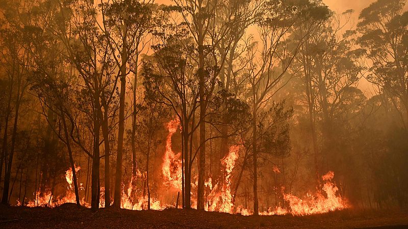 Australia despliega a 3.000 reservistas para combatir los desvastadores incendios que dejan ya 23 muertos