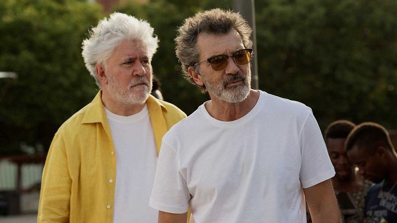 'Dolor y gloria' y Antonio Banderas, nominados a los Oscar 