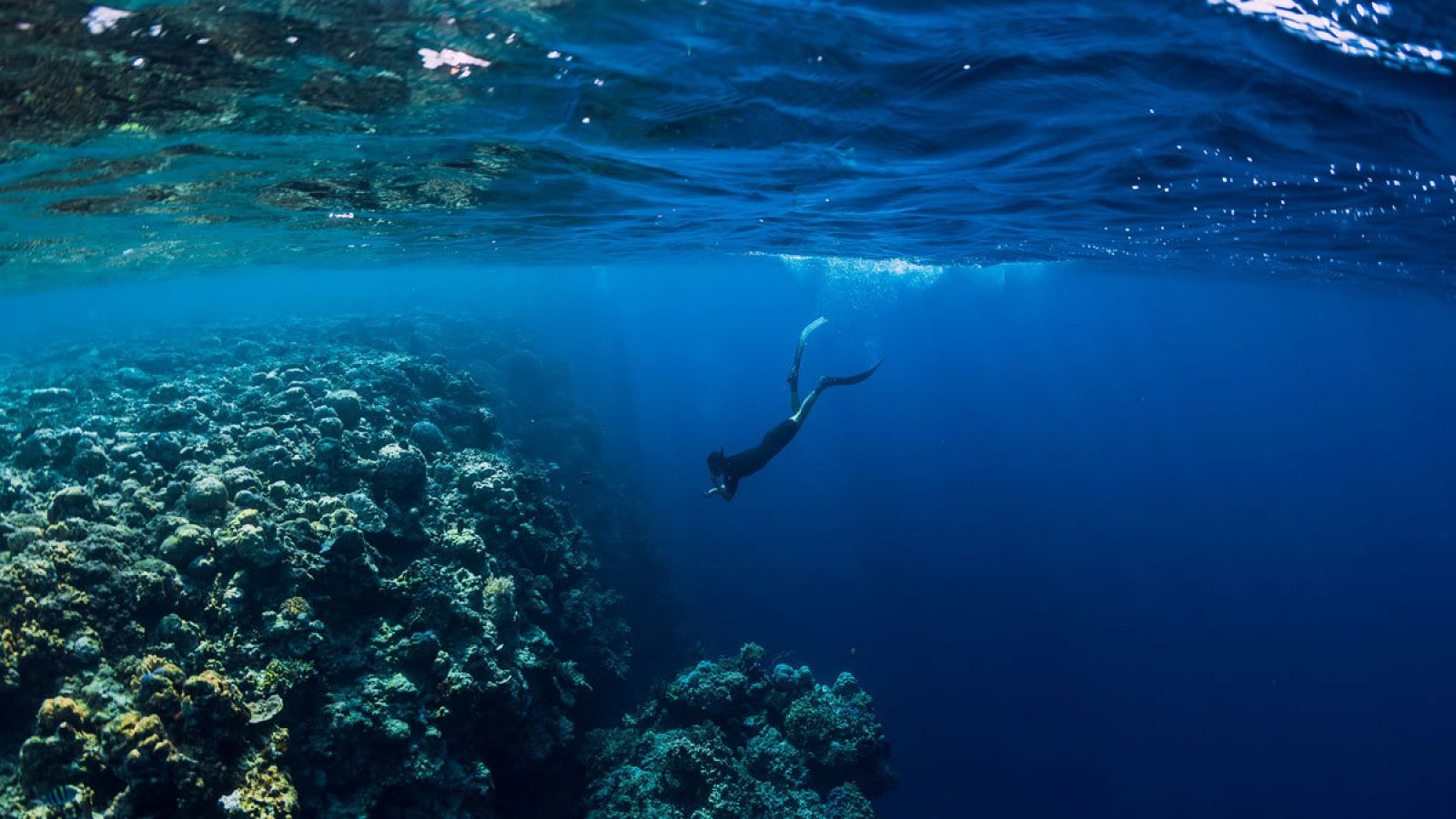 Durante 2019 la temperatura de los océanos fue la más cálida desde que hay registros
