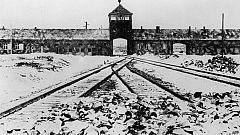 En La 2, el horror del Holocausto en el 75 aniversario de la liberación de Auschwitz