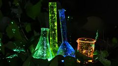 FOTCIENCIA: las mejores imágenes científicas del año