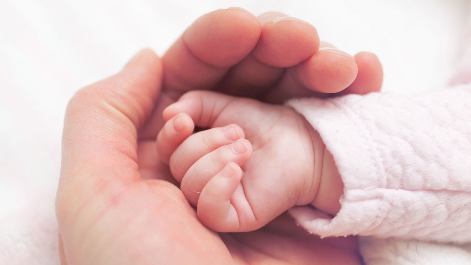 La Fiscalía archiva la investigación contra la asociación Infancia Libre