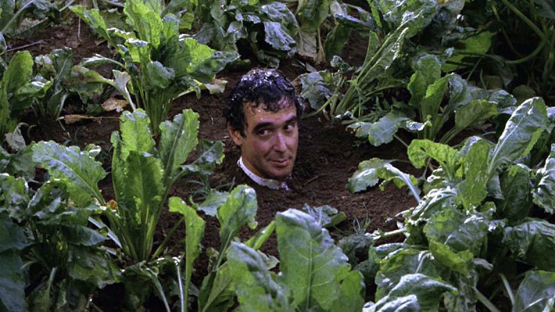 José Luis Cuerda, el genio 'sur-ruralista', en cinco películas
