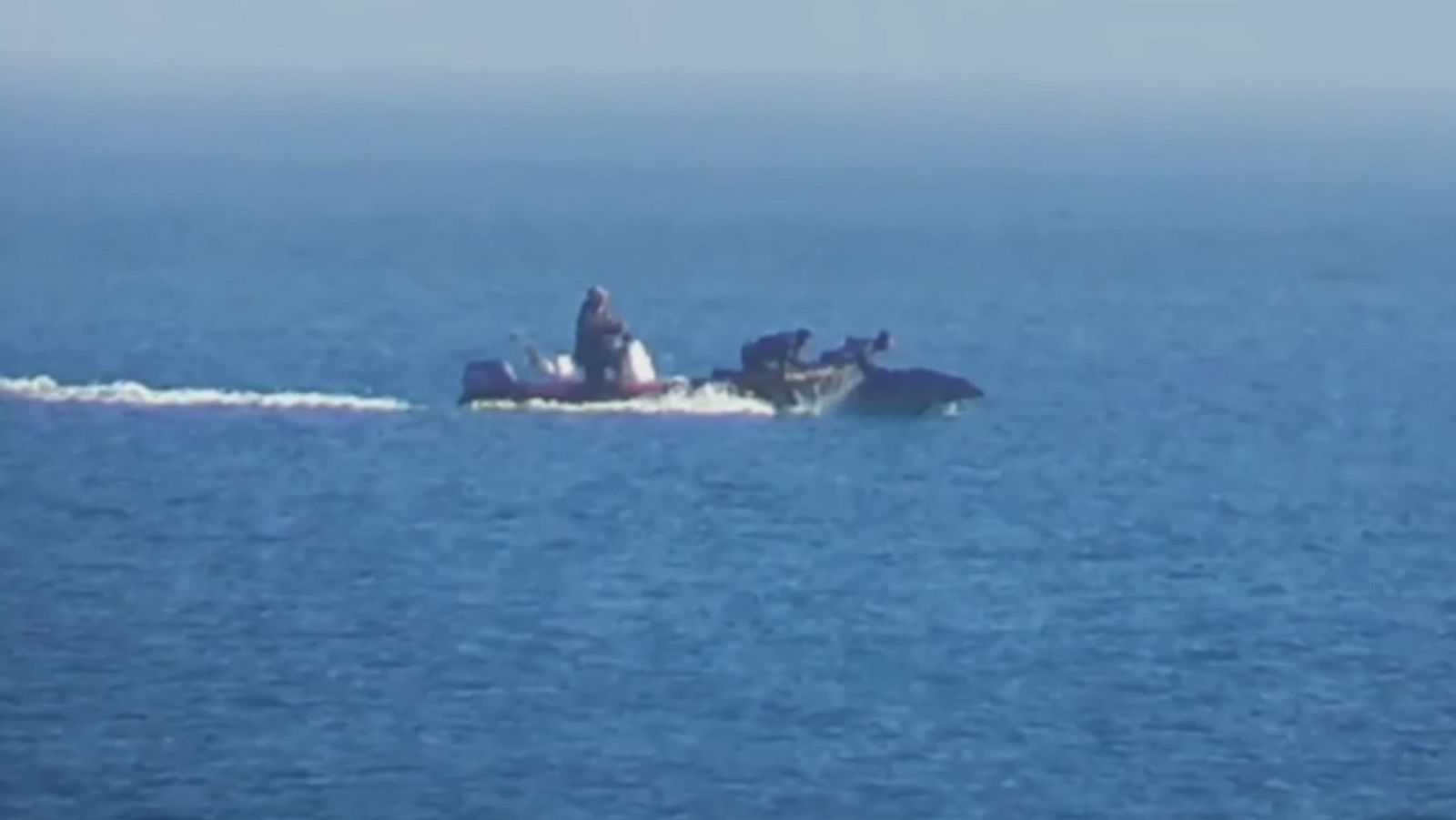 Pantallazo del vídeo en el que se puede ver la persecución a los delfines.