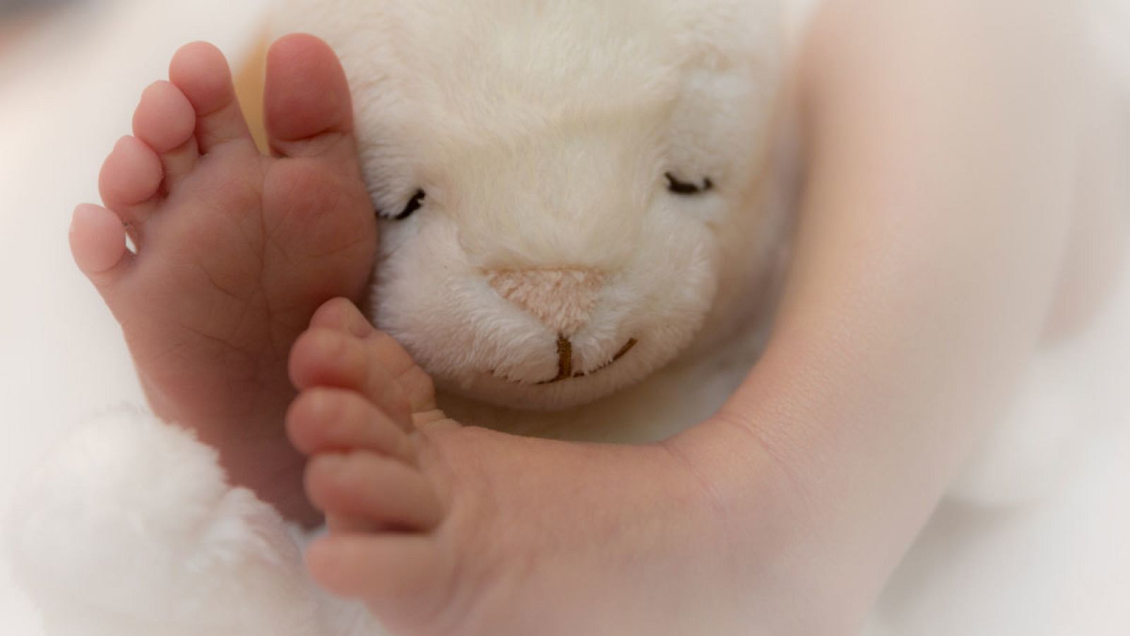 Madres que renuncian a sus bebés en el paritorio