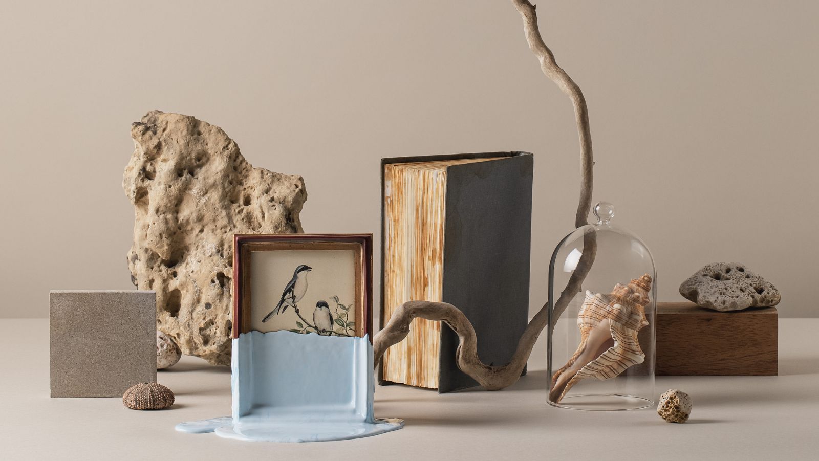 MUD (Festival Músiques Disperses) 2020