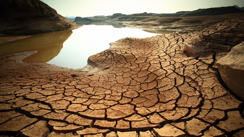 El cambio climático provocará una aridez extrema que dañará numerosos ecosistemas en todo el mundo