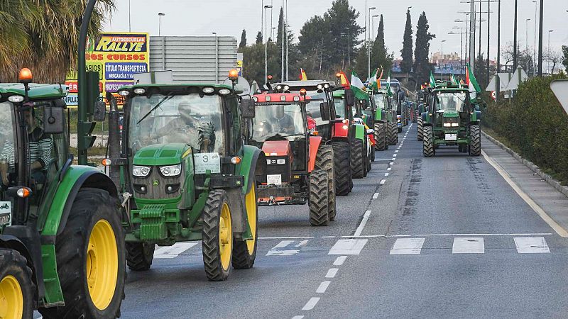 Los agricultores sacan sus tractores en Granada, Pamplona y A Coruña por el futuro del campo