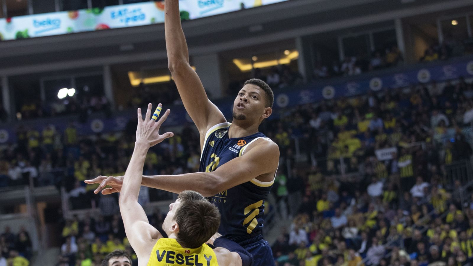 Fenerbahce vs Real Madrid