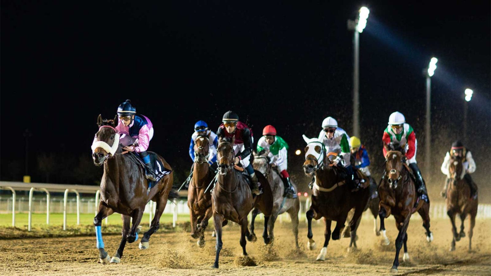 Las carreras de caballos vuelven a RTVE