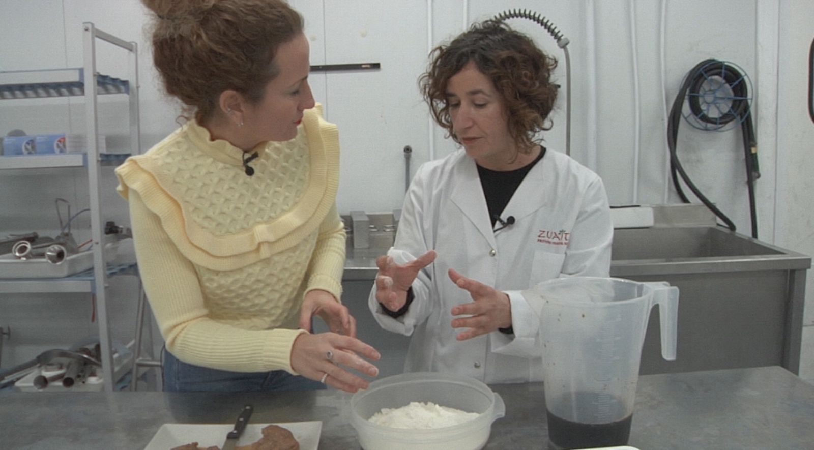 Seitán, el futuro del filete