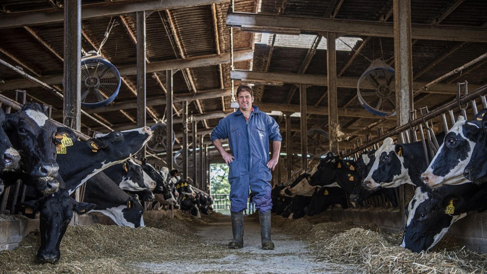 Albert Puigdemont a 'Cinc dies a...'