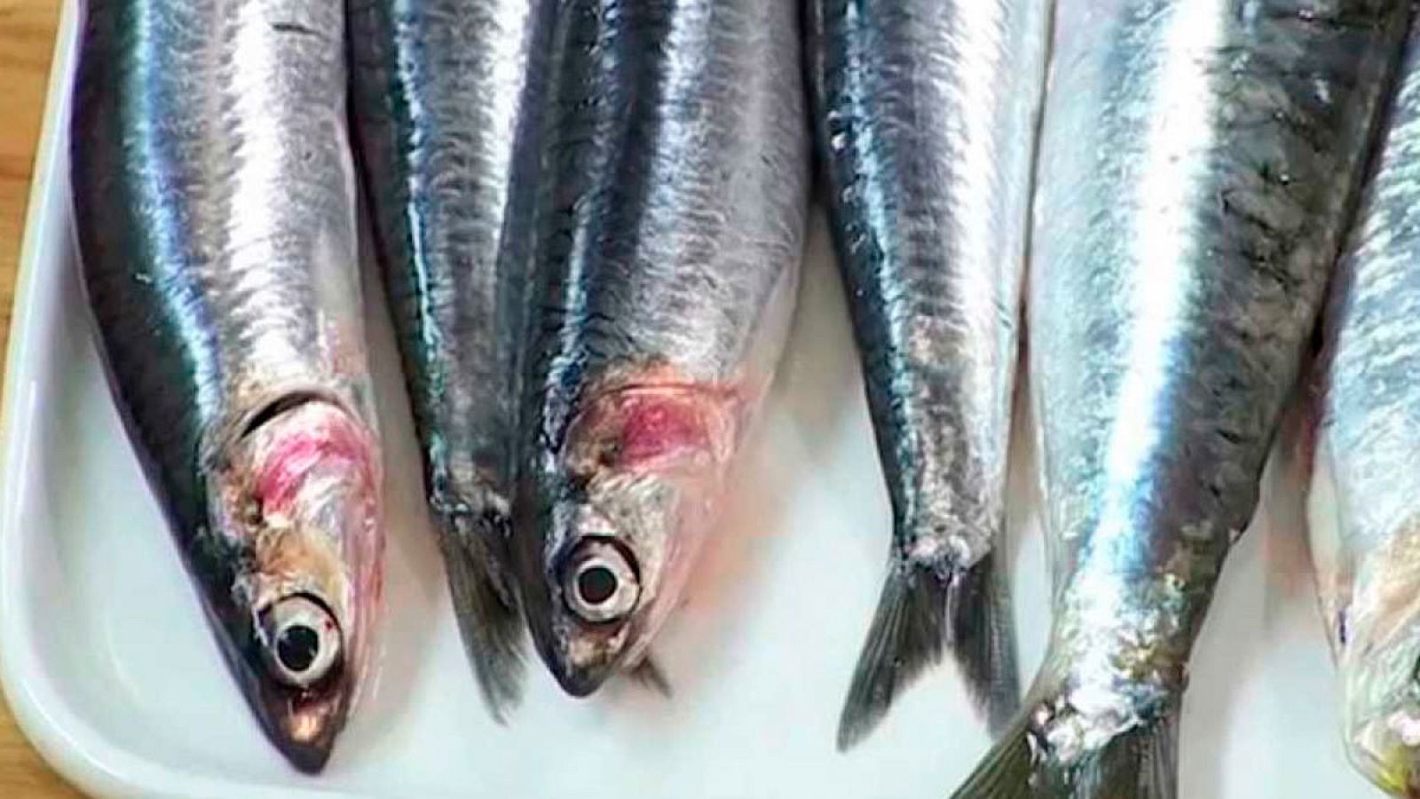 Sardines amb Carme Ruscalleda