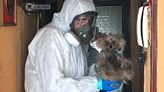 Las protectoras de animales, unidas para rescatar perros y gatos de personas hospitalizadas o fallecidas