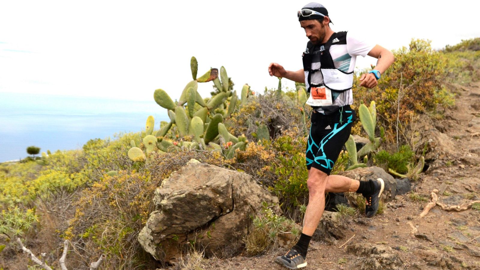 Luis Alberto Hernando