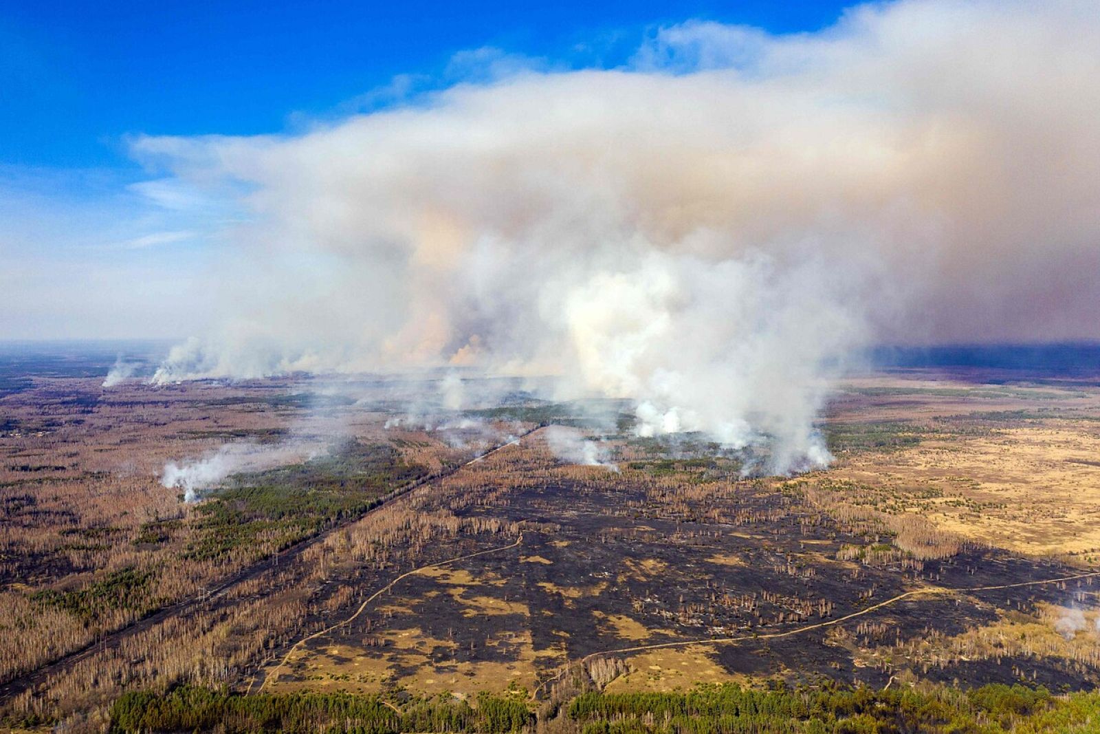 Incendio forestal en la zona de exclusión a 30 kilómetros de Chernóbil