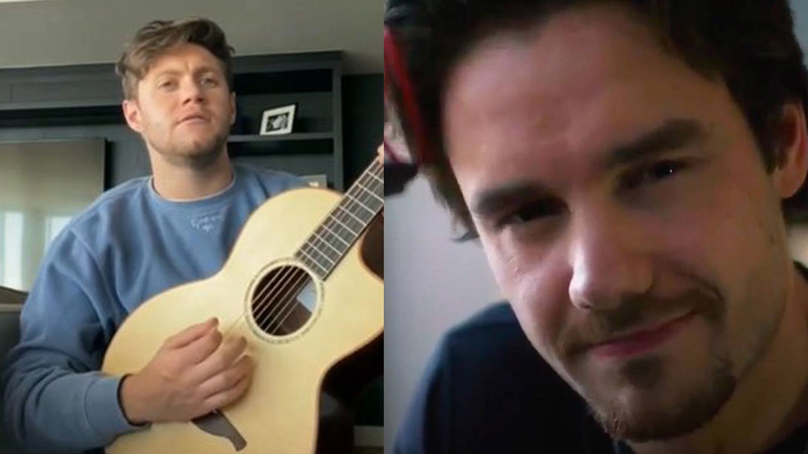 Naill Horan y Liam Payne han participado en el megaevento solidario organizado por la OMS y Global Citizen