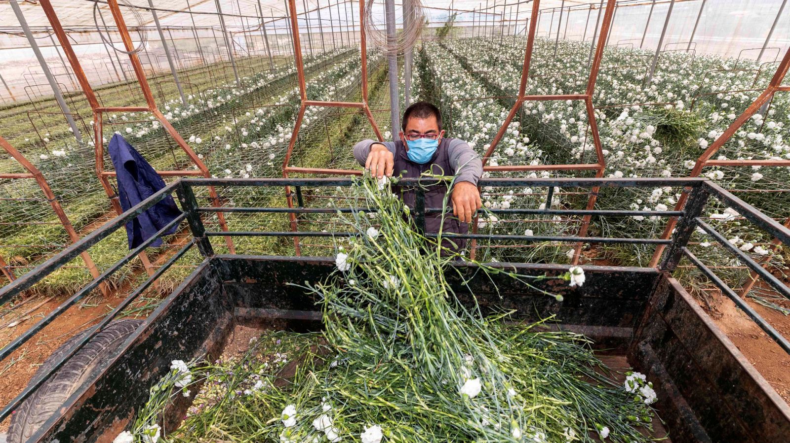 Loa ganaderos y agricultores buscan soluciones a la distribución