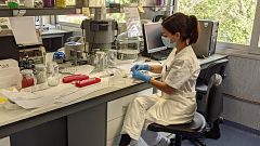 Sanidad inicia este lunes un estudio de seroprevalencia en 36.000 hogares para obtener "una foto real de la pandemia"