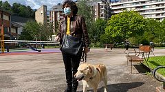 Los perros guía no entienden de distancia de seguridad