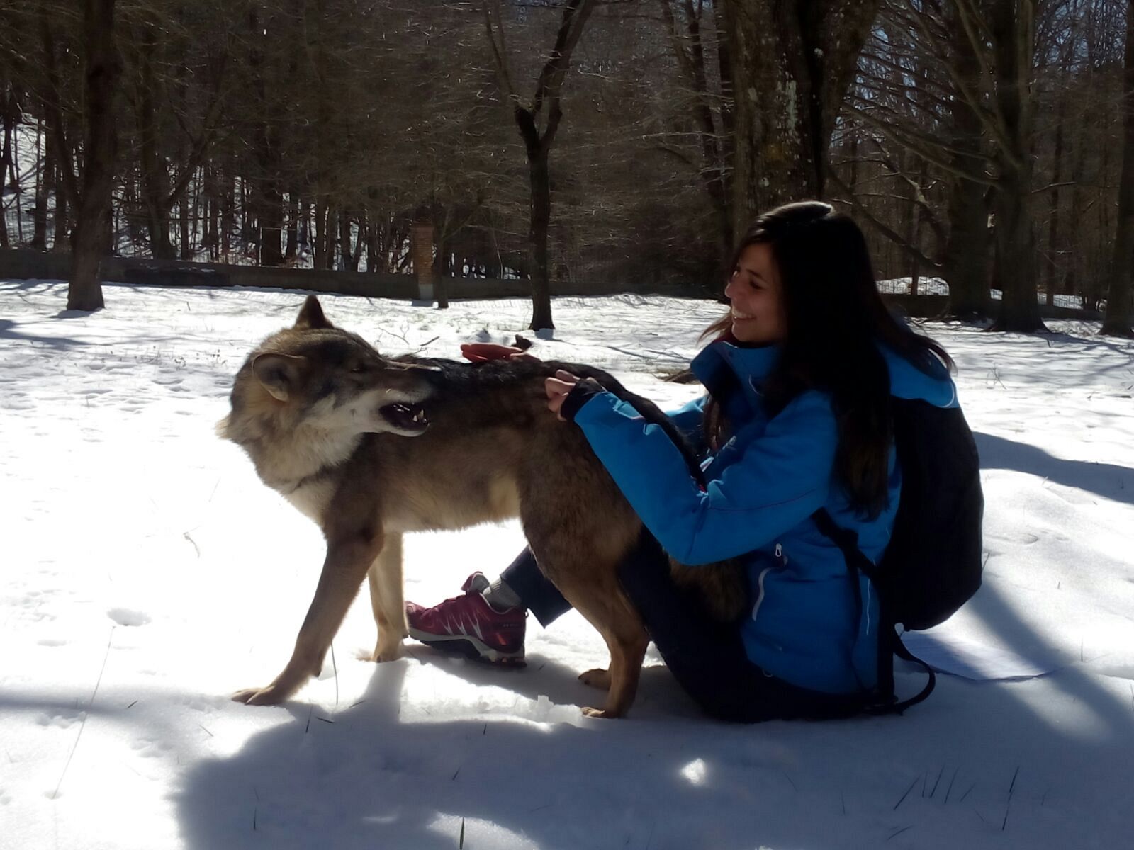 Terres Altes aquesta setmana a 'Animalades'
