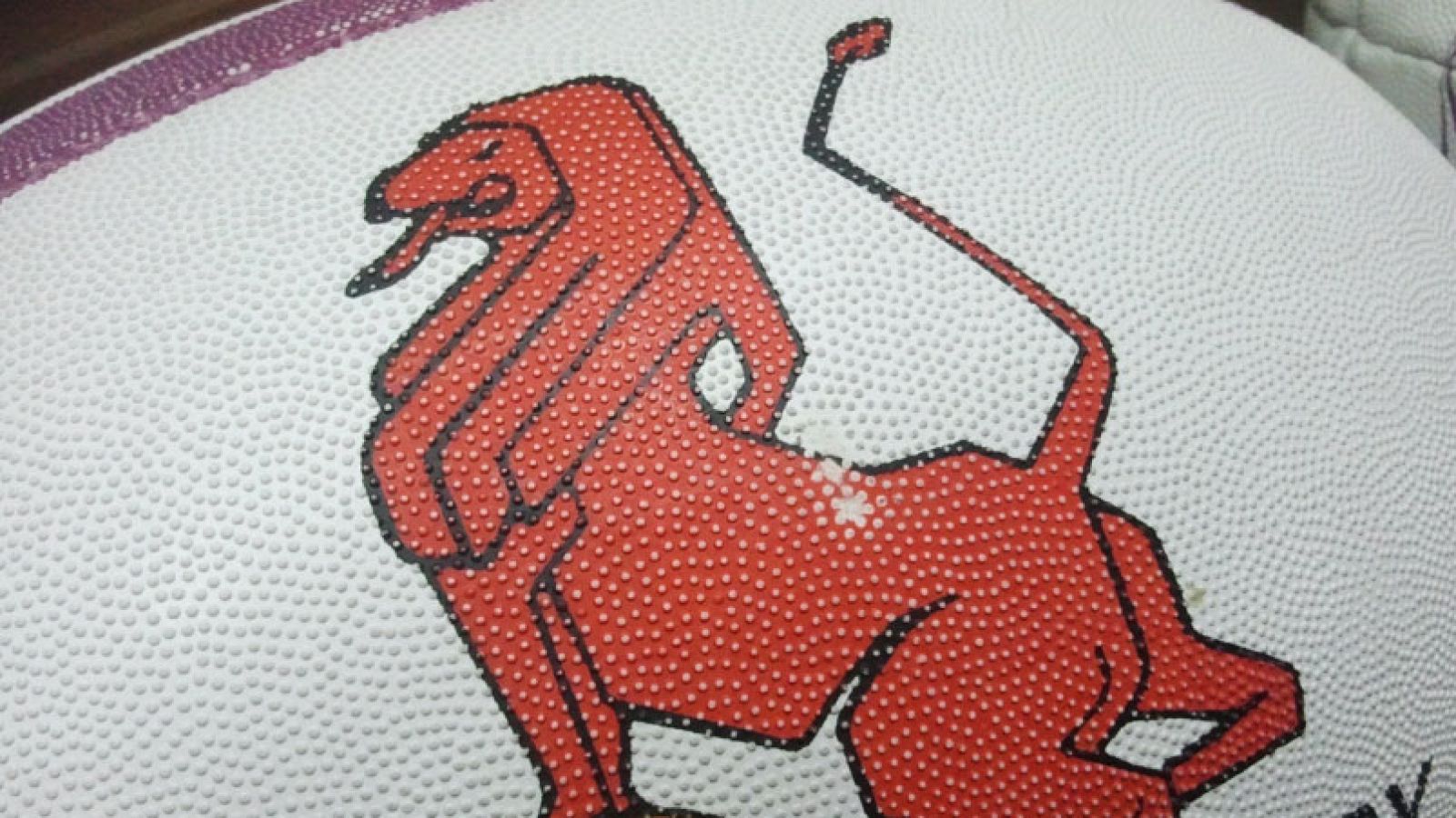 Detalles del balón oficial de la liga de Rugby