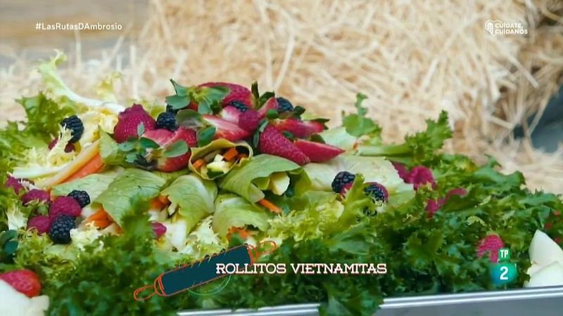 Rollitos Vietnamitas
