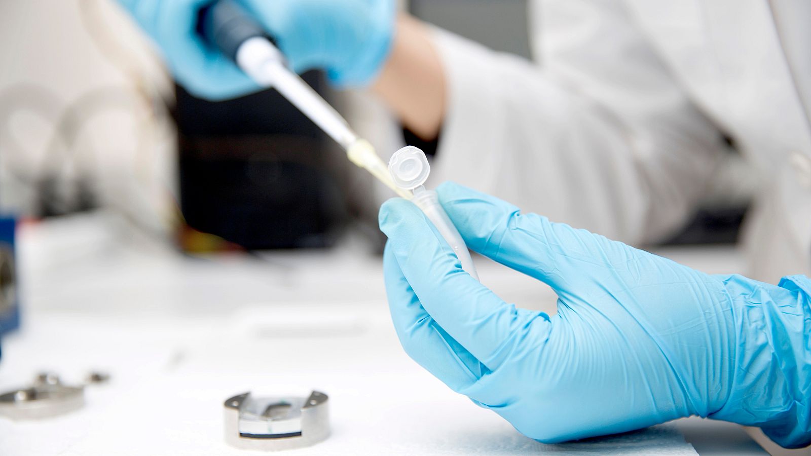 Doce grupos de investigación del Centro Nacional de Microbiología trabajarán en RedCoVID.