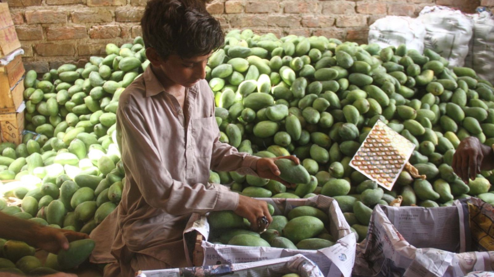 Un niño colocando unas frutas en un puesto de un mercado de in Hyderabad, Pakistán.