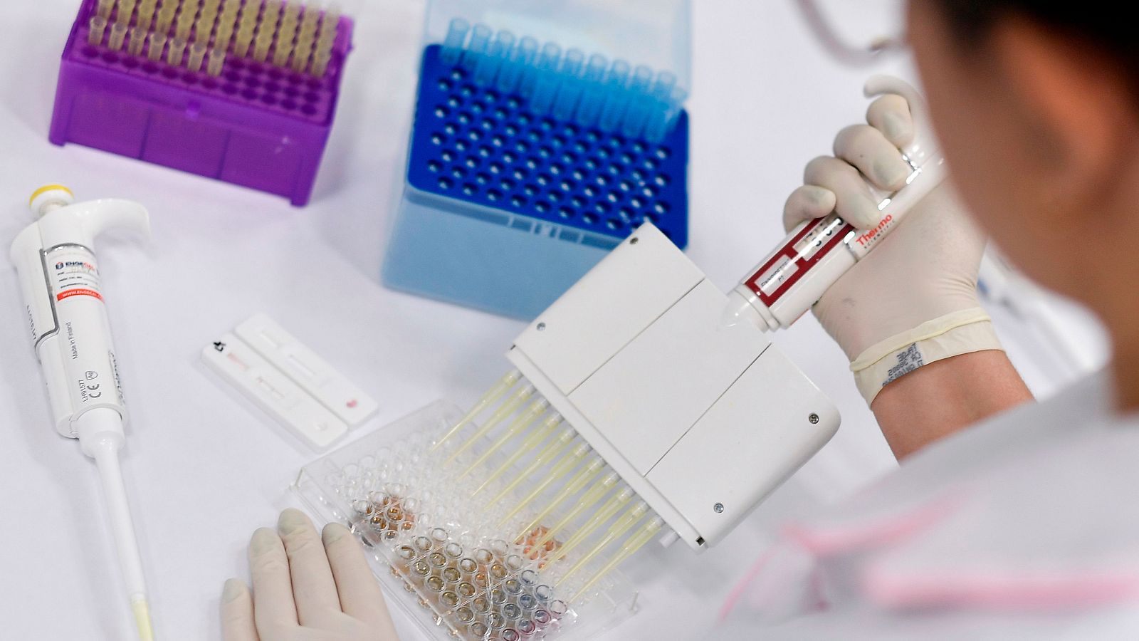 La vacuna desarrollada por la Universidad de Oxford y AstraZeneca ha comenzado la fase 3 en Reino Unido, Brasil y Sudáfrica.