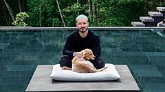 De estilo minimalista y con influencias japonesas: así es la mansión de J Balvin en Llanogrande (Colombia)