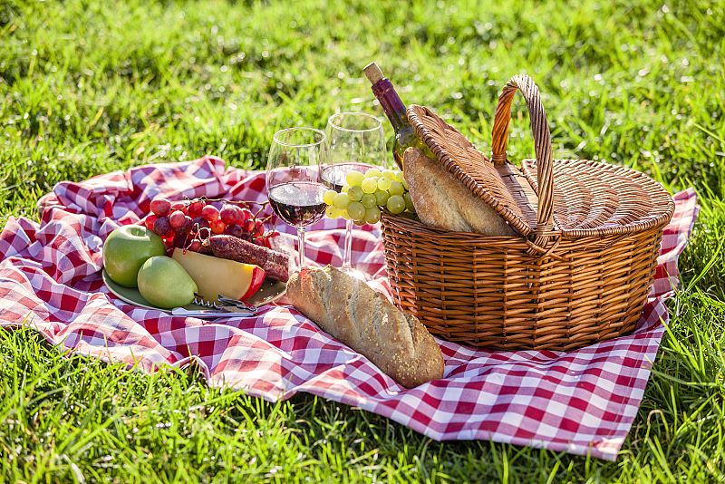 ¡Disfruta del picnic perfecto!