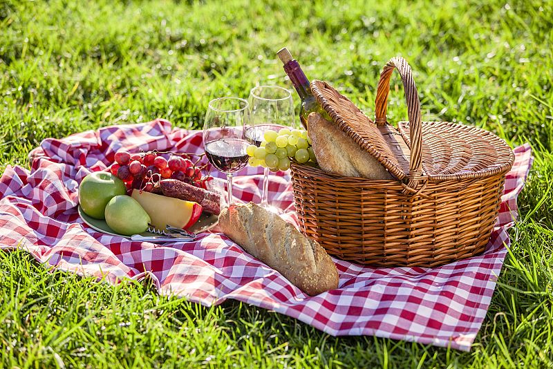 ¡Disfruta del picnic perfecto!