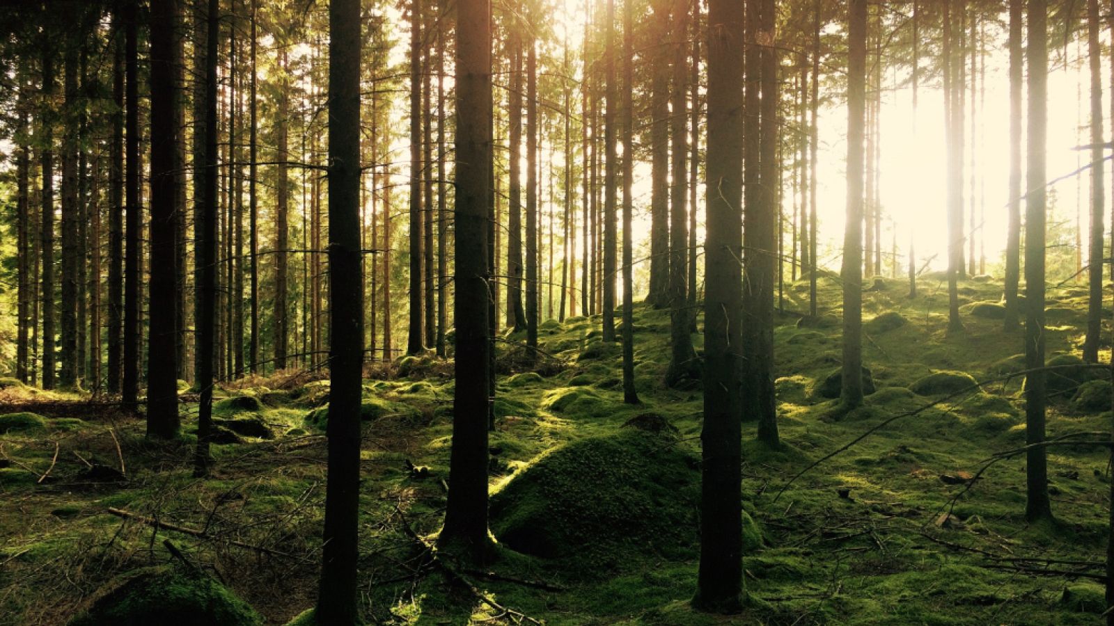 Crean la primera ruta inspirada en 'El Señor de los Anillos'