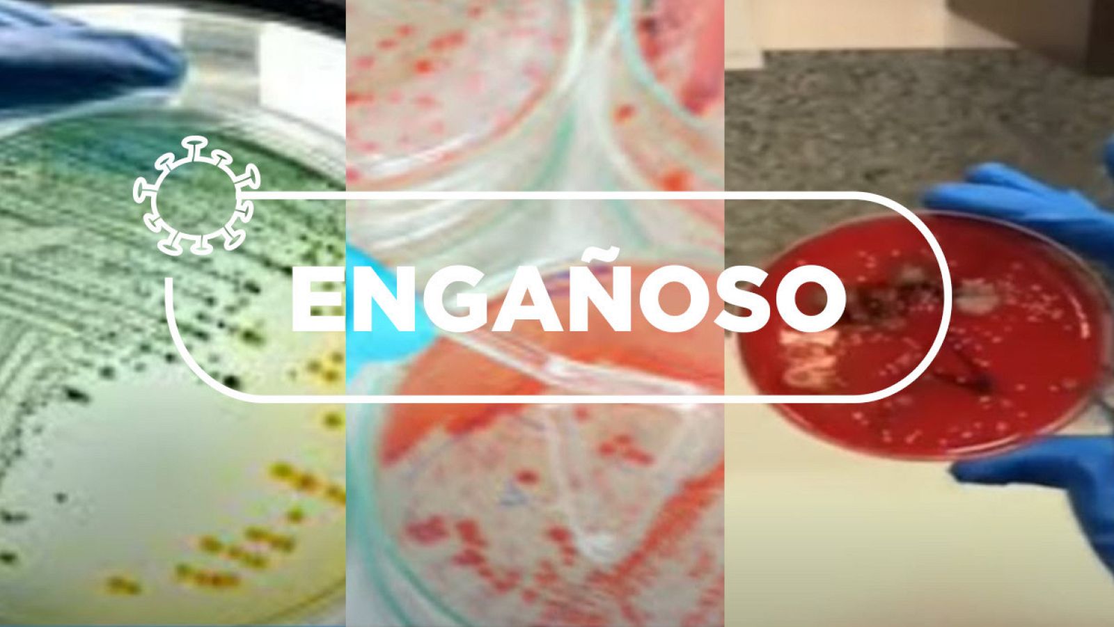 Usadas correctamente, las mascarillas y sus bacterias no provocan infecciones ni neumonía